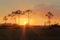 Everglades Sunset