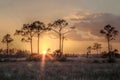 Everglades Sunset Royalty Free Stock Photo