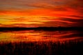 Everglades Sunset Royalty Free Stock Photo