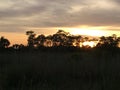 Everglades Swamp Lands In Everglades Florida Royalty Free Stock Photo