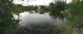 Everglades Swamp Lands In Everglades Florida Royalty Free Stock Photo