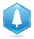 Evergreen conifer pine tree icon crystal blue hexagon button