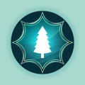 Evergreen conifer pine tree icon magical glassy sunburst blue button sky blue background Royalty Free Stock Photo