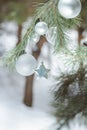 Evergreen conifer tree branch with Christmas metal grey ornaments and shiny star Royalty Free Stock Photo