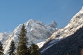 The evergreen coniferous forest grows at the foot of the Caucasus Mountains near the village of Dombai, Russia Royalty Free Stock Photo