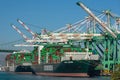 Evergreen Container Ships in Los Angeles Royalty Free Stock Photo