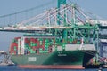 Evergreen Ever Lyric Container Ship