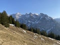 Evergreen forest or coniferous trees in early spring on the slopes of the alpine mountains around the KlÃÂ¶ntal mountain valley Royalty Free Stock Photo