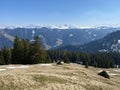 Evergreen forest or coniferous trees on the slopes of hills in the Alptal alpine valley, Einsiedeln - Canton of Schwyz Royalty Free Stock Photo