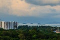 Evergreen forest at Hinsuay Namsai beach, Rayoong, Thailand. The growth of tourism and construction of hotels and resorts made red