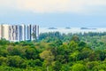 Evergreen forest at Hinsuay Namsai beach, Rayoong, Thailand. The