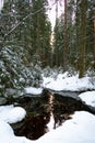 Evergreen forest after a major snowfall. Winter fairytale. Small water pond in the forest. Trees covered in snow Royalty Free Stock Photo