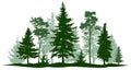 Evergreen forest pine, tree isolated. Park, alley Christmas tree. Vector illustration.