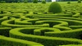 the evergreen hedge maze.