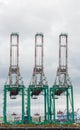 Evergreen Marine Corporation Container Cranes at Port of Los Angeles