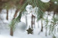 Evergreen pine tree with Christmas ornaments and silver glitter star Royalty Free Stock Photo