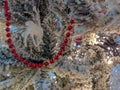 Evergreen pine tree covered in snow, closeup of decorated Christmas tree with red pearls ornament during holidays season Royalty Free Stock Photo