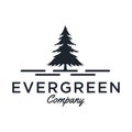 Evergreen / Pine tree Logo design inspiration - Vector Royalty Free Stock Photo
