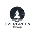Evergreen / Pine tree Logo design inspiration - Vector