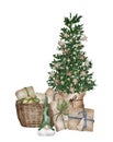 Evergreen pine tree in rustic pot with christmas lights,pine cone, firry. Watercolor illustration. Farmhouse Christmas