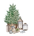 Evergreen pine tree in rustic pot with christmas lights,pine cone, firry. Watercolor illustration. Farmhouse Christmas