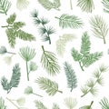 Evergreen plant and tree seamless pattern, background with pine and fir branch, cedar twig, Christmas and New Year decoration,