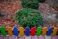 Evergreen shrub among an autumn flower bed with a rainbow picket fence Royalty Free Stock Photo