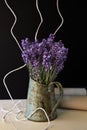 Evergreen shrub lavender of narrow-leaved blue color Royalty Free Stock Photo