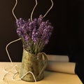 Evergreen shrub lavender narrow-leaved Royalty Free Stock Photo