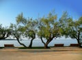 evergreen shrubs and benches facing the Adriatic sea