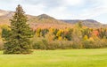 Evergreen tree with Adirondack Mountains and Autumn colors Royalty Free Stock Photo