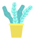 Evergreen Tree in Flowerpot, Cartoon Style Leaves