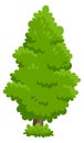 Evergreen tree. Green conifer icon. Cartoon plant