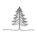 Evergreen Tree Illustration Minimalist Pine Tree Line Art Design Royalty Free Stock Photo