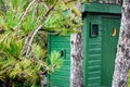 Pine Tree and Pine cones with a Green Outhouse in the Background Royalty Free Stock Photo