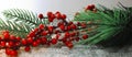 Evergreen tree twigs and Christmas decorations, festive panoramic background Royalty Free Stock Photo
