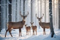 deer family in the middle of the snow forest Royalty Free Stock Photo