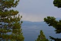 Evergreen Trees in Foreground of Lake and Mountains