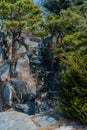 Evergreen trees growing from man made wall of boulders Royalty Free Stock Photo