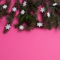 Evergreen trees with snowflakes on a pink background with copy space. Flat lay scene