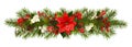 Evergreen twigs of Christmas tree, poinsettia flower, berries an Royalty Free Stock Photo