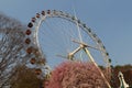 An old ferris wheel in Everland park