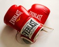 Everlast Boxing Gloves