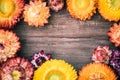 Everlasting flowers on wooden board for use as background Royalty Free Stock Photo