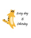 Every day is Caturday Shirt Design