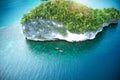 Every inch of this island looks amazing. High angle shot of two adventurous young couples canoeing together in the