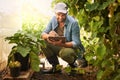 Every plant accounted for. a happy young farmer examining the crops on his farm.