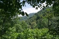 Every shade of green. Camlihemsin, Rize, Turkey.