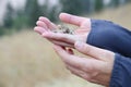 Baby bird rescued- wildlife sanctuary projects