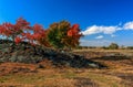 Early autum scenery at Jingpo lake world geological park 6 Royalty Free Stock Photo